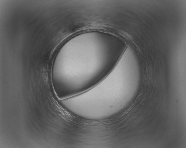X0000054371260200507290822