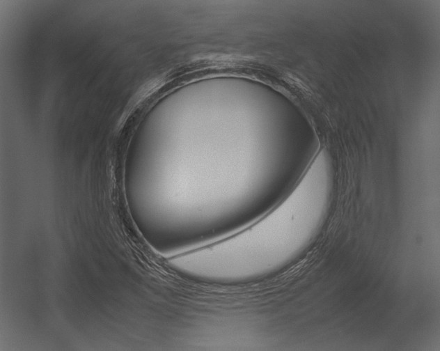 X0000054371261200507290822