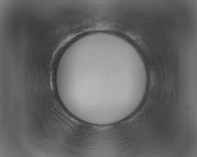 X0000054371262200507290822
