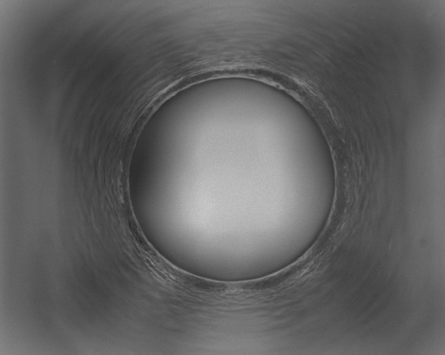 X0000054371265200507290821