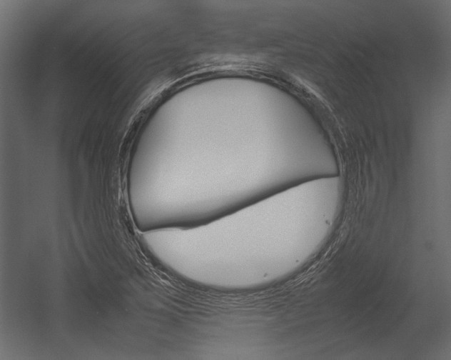 X0000054371267200507290821