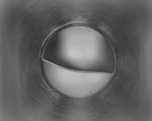 X0000054371268200507290821