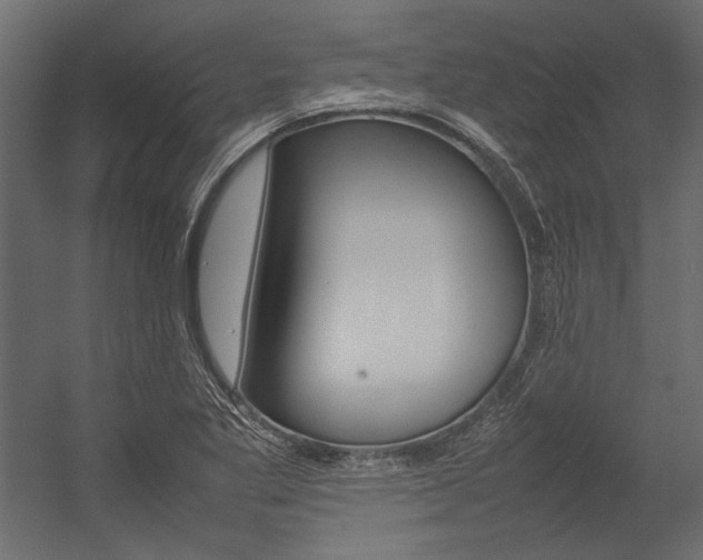 X0000054371269200507290821