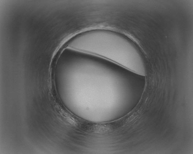 X0000054371270200507290821
