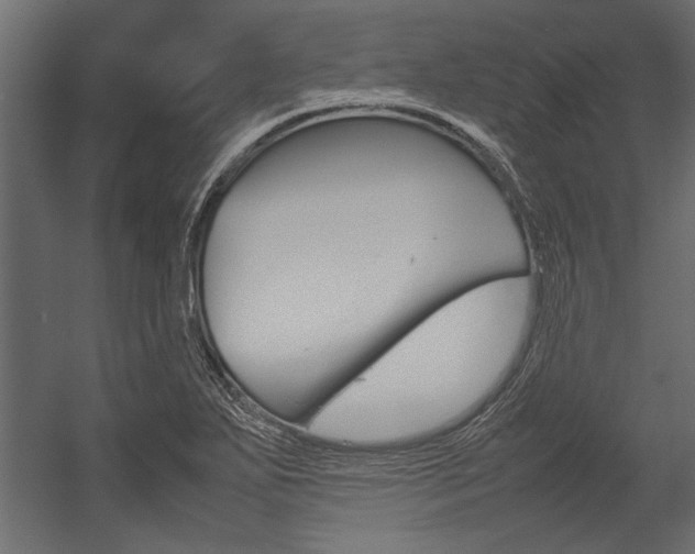 X0000054371271200507290821