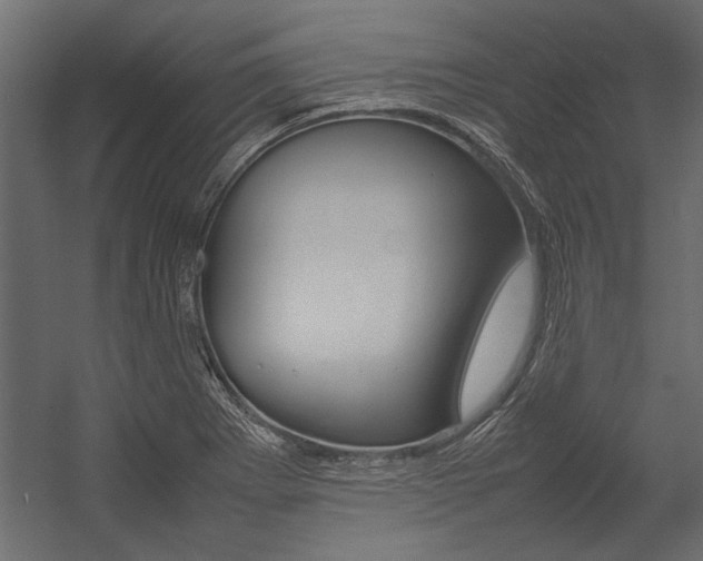 X0000054371273200507290821