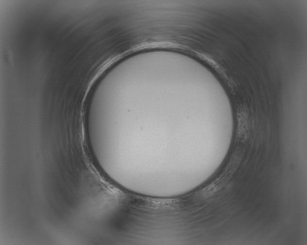 X0000054371274200507290821