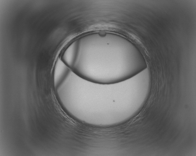 X0000054371275200507290821