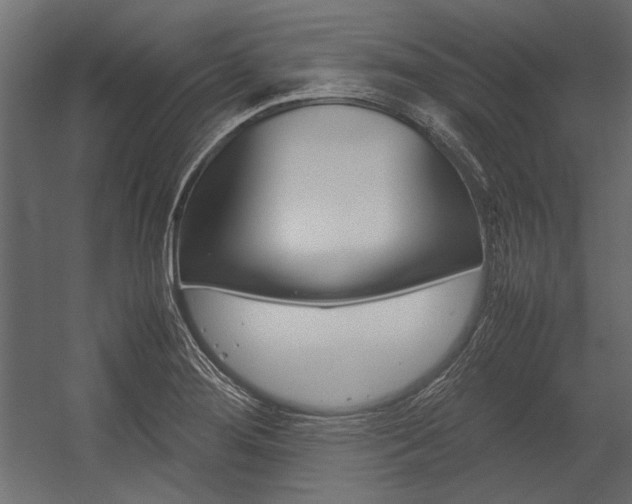 X0000054371276200507290821