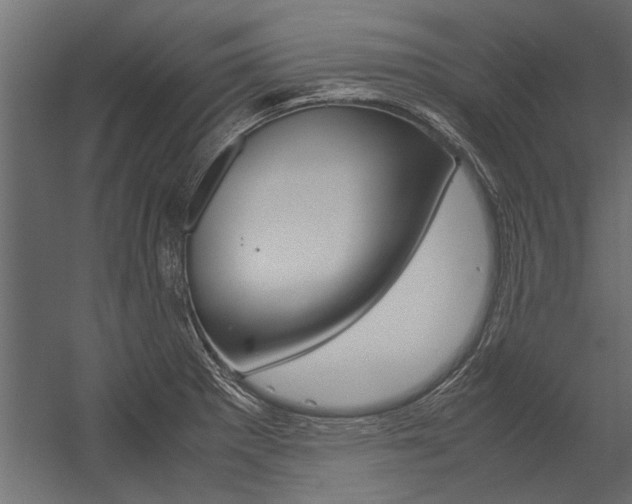 X0000054371281200507290821