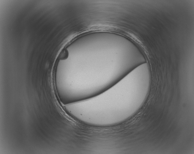 X0000054371283200507290821