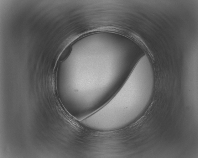 X0000054371284200507290821