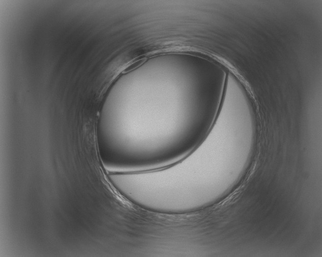 X0000054371289200507290821