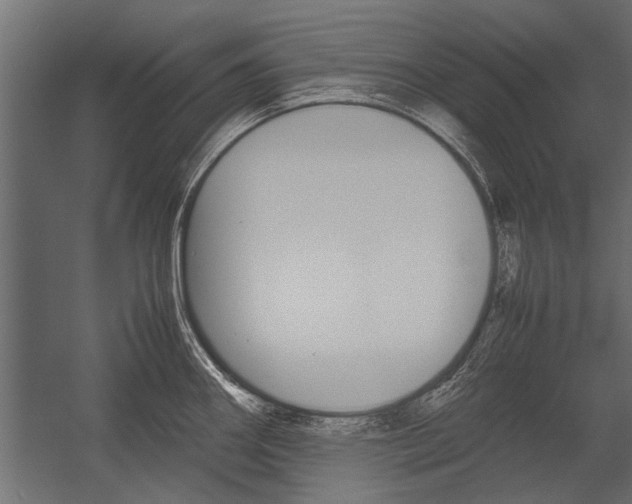 X0000054371290200507290821
