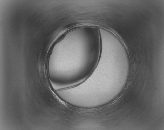 X0000054371293200507290821
