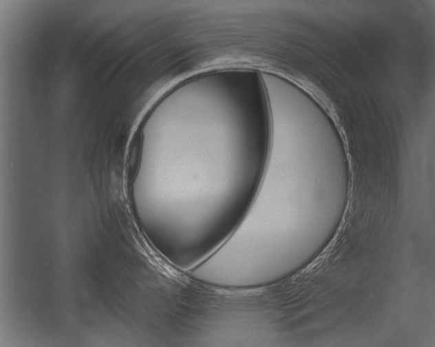 X0000054371296200507290821