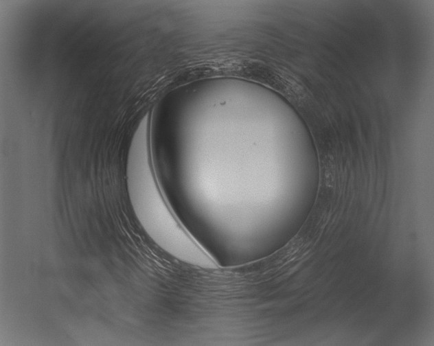 X0000054371298200507290820