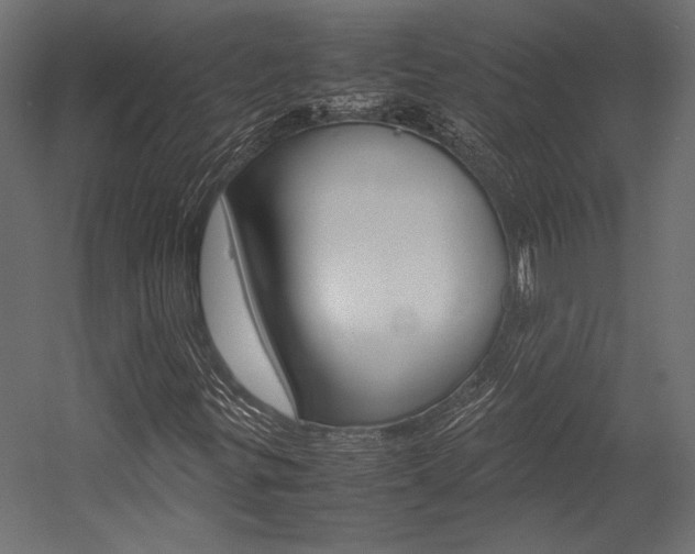 X0000054371299200507290820