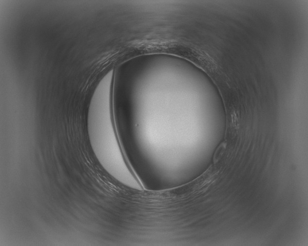 X0000054371300200507290820