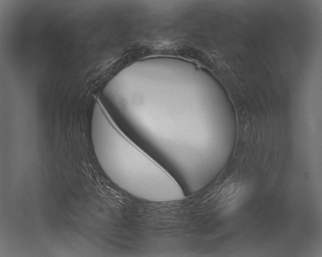 X0000054371301200507290820