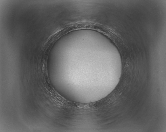 X0000054371302200507290820