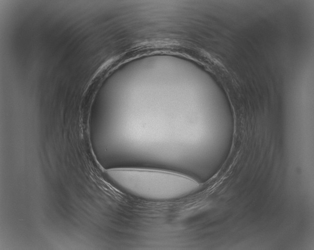 X0000054371306200507290820