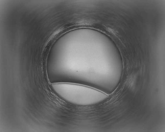X0000054371307200507290820