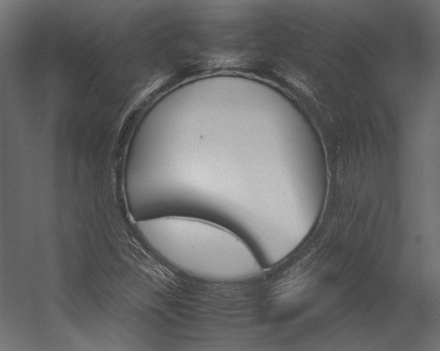 X0000054371309200507290820