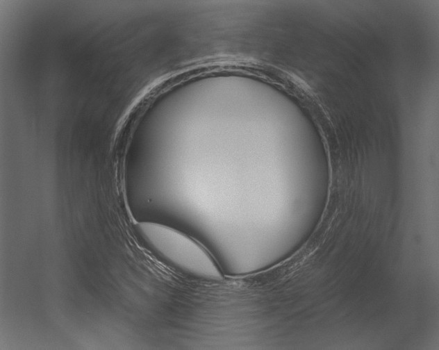 X0000054371310200507290820