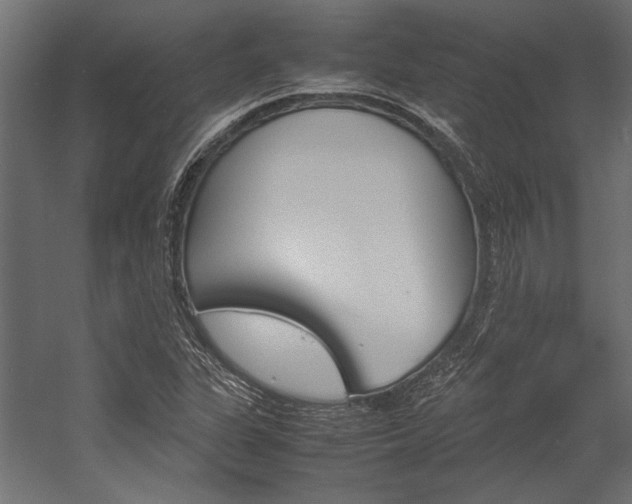 X0000054371311200507290820