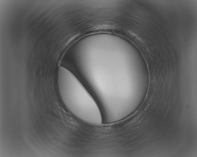 X0000054371313200507290820