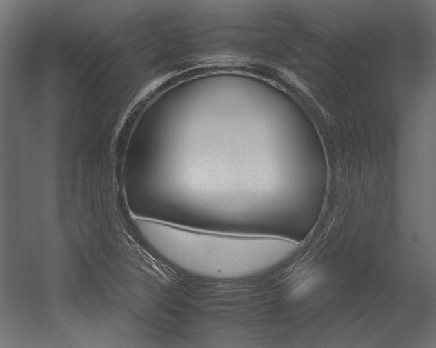 X0000054371315200507290820