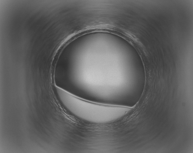 X0000054371316200507290820