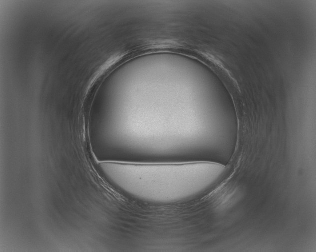 X0000054371317200507290820