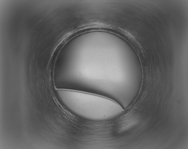 X0000054371318200507290820
