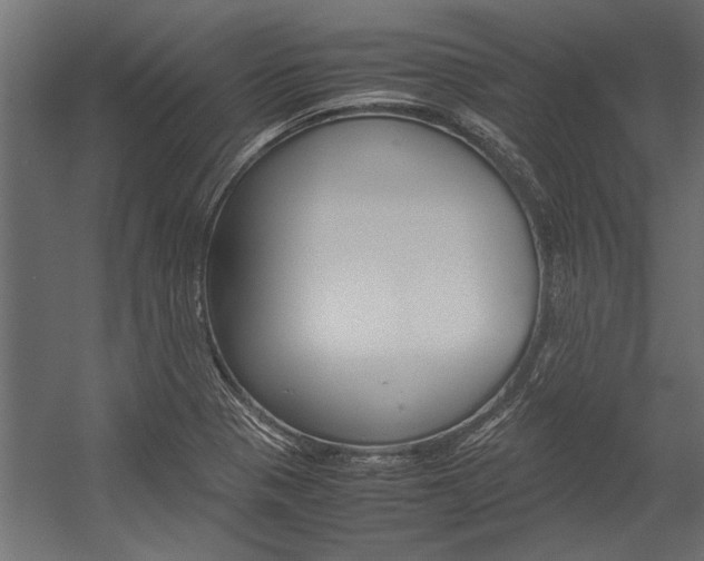 X0000054371321200507290821
