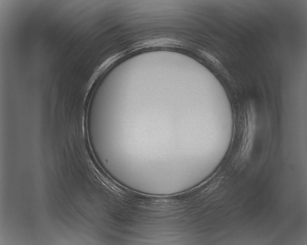 X0000054371322200507290821