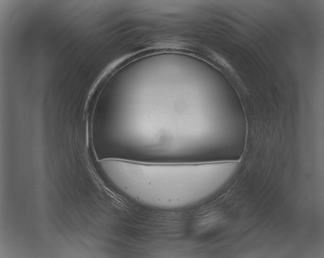 X0000054371323200507290821