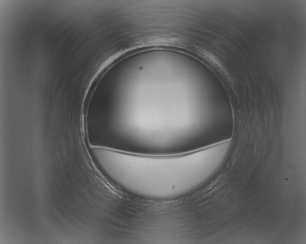 X0000054371324200507290821