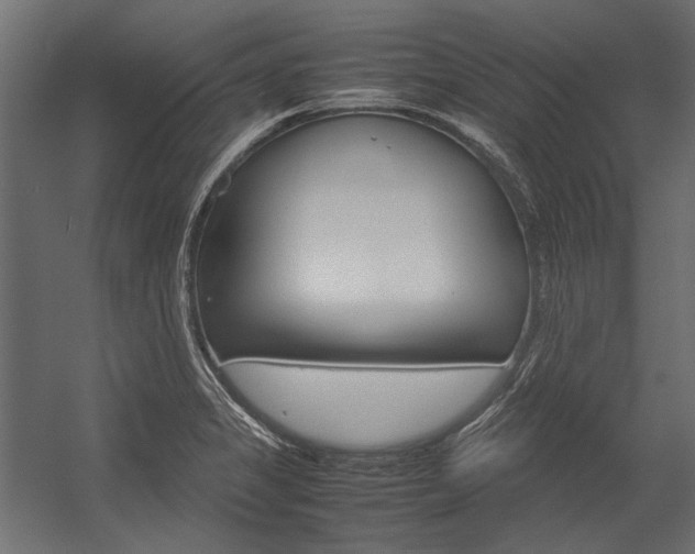 X0000054371325200507290821