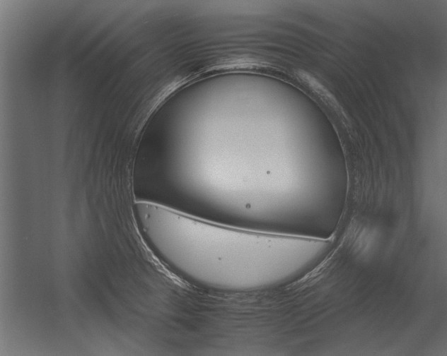 X0000054371329200507290821