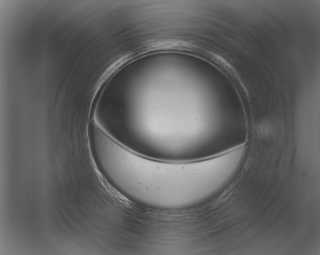 X0000054371330200507290821