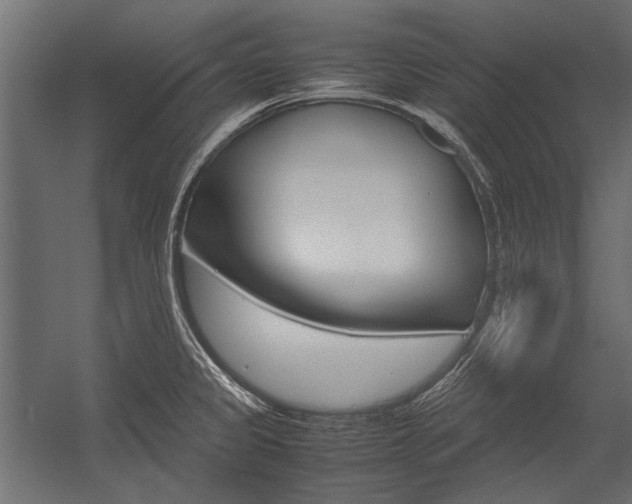 X0000054371333200507290821