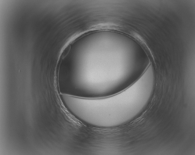 X0000054371336200507290821