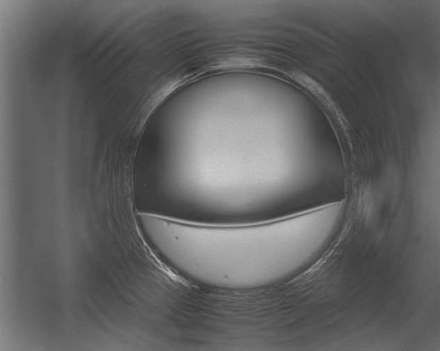 X0000054371337200507290821