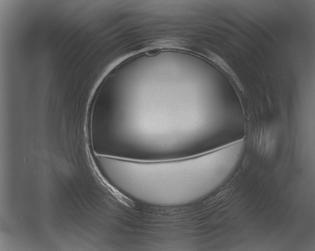 X0000054371339200507290821