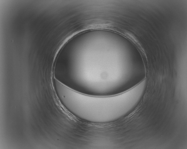 X0000054371340200507290821