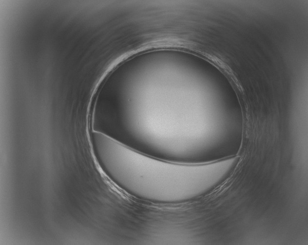 X0000054371342200507290821