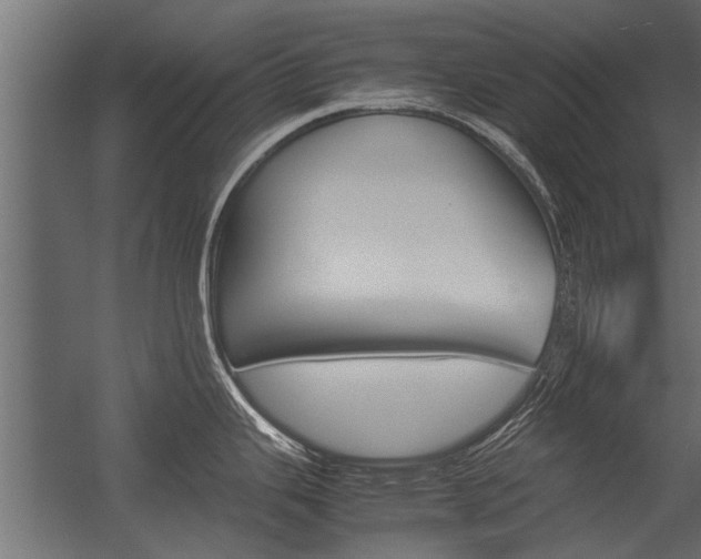 X0000054371343200507290821