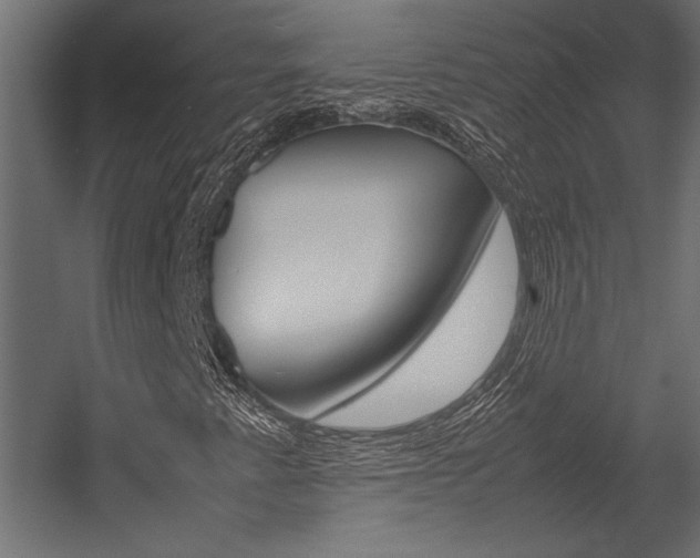 X0000054371345200507290820
